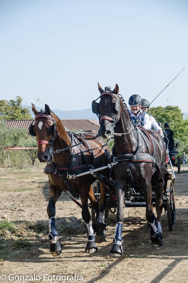 David Aramendía y Carmen Goiburu, Campeones Navarros de Enganches Completo en Troncos y Limoneras